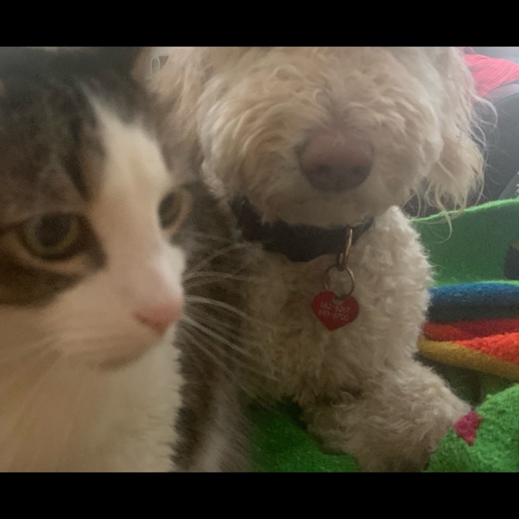 Meet your Posher, Krista - Picture 1 of 1